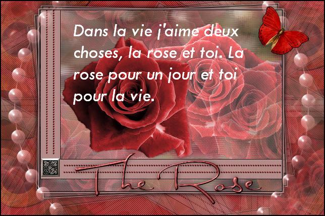 Citations Option Bonheur Panneau De Citation Sur L Amour Avec Roses