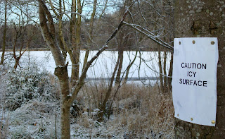 Sign pinned to tree near Hillborough lake - Caution Icy Surface