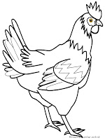 Mewarnai Gambar Sketsa Ayam Hitam Putih
