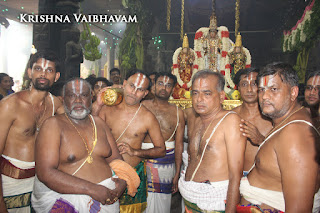 Sri TheliyaSingar , Sri Gajendra Varadhar, Samrokshanam, 2016, Video, Divya Prabhandam,Sri Parthasarathy Perumal, Triplicane,Thiruvallikeni,Utsavam,