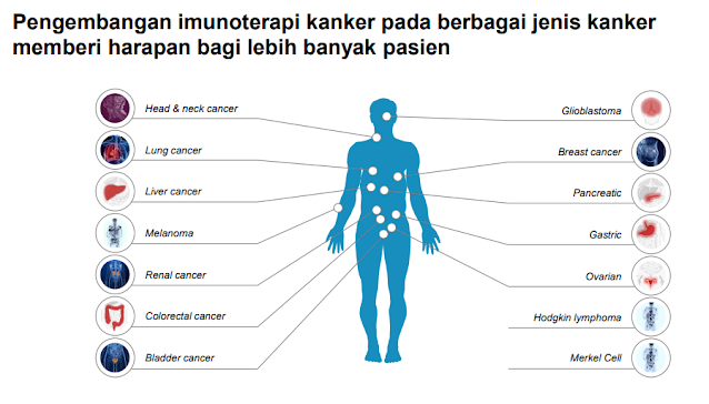 obat-kanker-hati