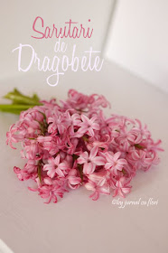 Sarutari de Dragobete si buchet de flori zambile roz