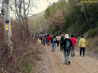 Seguint el camí planer del cosat esquerra del Cardener. Autor: Francesc "Caminaire"