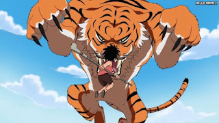 ワンピースアニメ 499話 幼少期 | ONE PIECE Episode 499 ASL