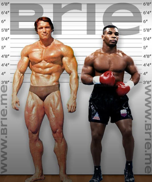 Arnold Schwarzenegger height comparison with Mike Tyson