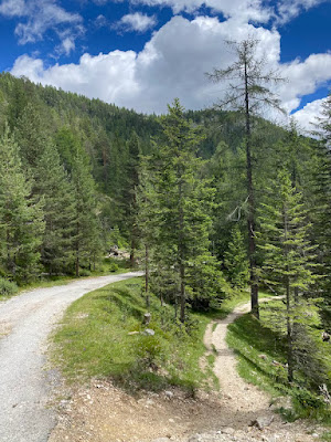 Passeggiate semplici sulle Dolomiti