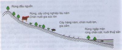 Tại sao nói việc phát triển cơ cấu nông, lâm, ngư nghiệp góp phần phát triển bền vững ở Bắc Trung Bộ?