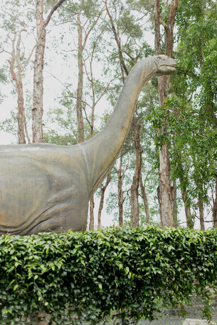 palmersaurus dinosaur