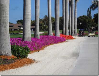 Ocean Reef Feb 2011 138