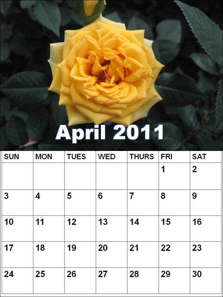 monthly calendar printable 2011. Blank Calendar 2011 April or