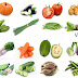 Vegetables Names with Meaning and Picture | Vegetable Vocabulary