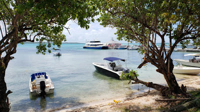 Boats at Harbour Is. dock and shore