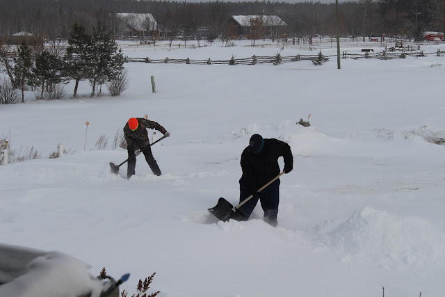 Shovelling snow