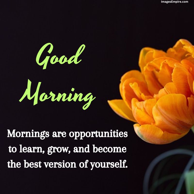 Beautiful and Cute Good Morning Flowers Images with Positive Quotes