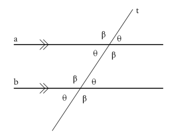 What Are Transversal Angles 