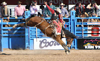 bronco rider