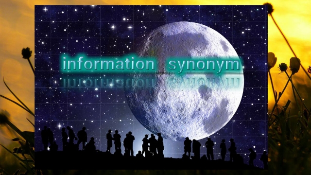 information synonym