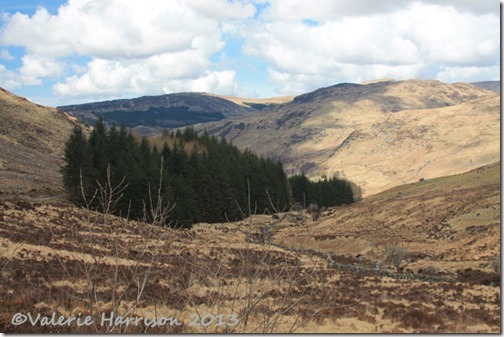 19-galloway-hills