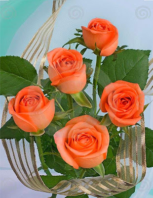 beautiful orange rose wallpaper