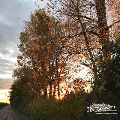 Fall in NW Ohio, USA | Nature's INKspirations by Angie McKenzie