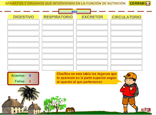 http://www.eltanquematematico.es/pizarradigital/AparatoDigestivo/actividades/actividades3_p.html