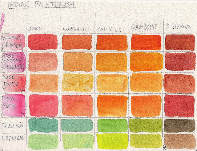 Color mixing grid for Indian Paintbrush 2015 