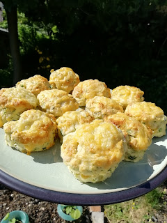 Cheese and Herb scones