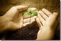 sowing-and-reaping[6]