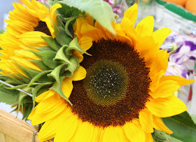 Focus on Life: Week 33 ~ In season: The farmer's market in Burlington, ON, a lovely late summer harvest: sun flower :: All Pretty Things