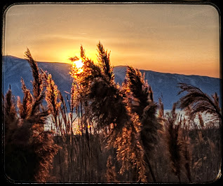 Sunset on the Utah Lake Shore Trail