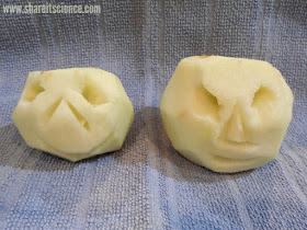 Shrunken Head Halloween Science Experiment STEAM Activity