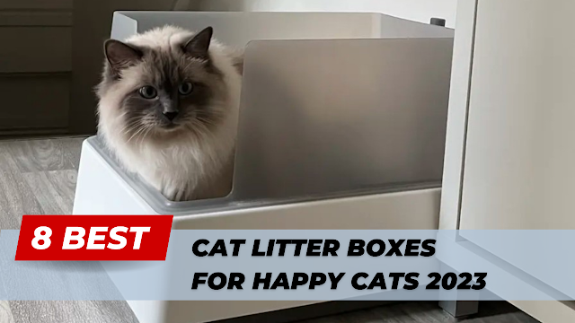 Best Cat Litter Boxes 2023
