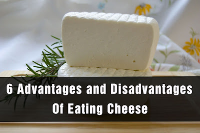 Eating Cheese: Advantages, Disadvantages, and Food Choices Tips