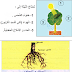 إيقاظ علمي : حَاجَةُ النَّبْتَةُ إِلَى الْغِذَاءِ ( الْمَاءُ و الْأَسْمِدَةُ )