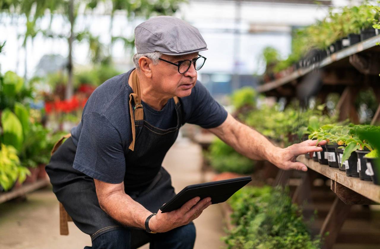 Cara Belajar Berkebun Online di Internet (treehugger.com)