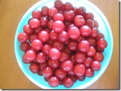 Sour cherry tree upside down cake fruit 010