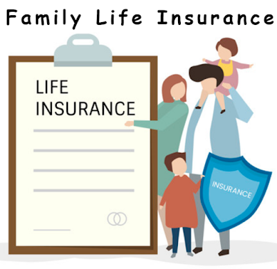 How to Choose the Best Life Insurance Plan?