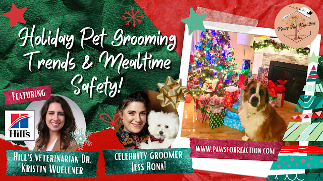 Ask a vet: Holiday Pet Hazards and Toxins