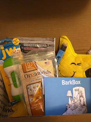 box of dog goodies