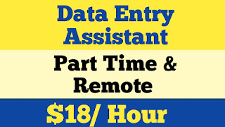 Empowering Freelance Data Entry Assistant – Part-Time & Remote