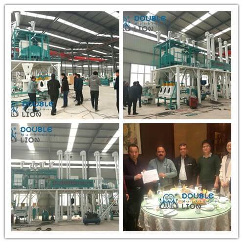 How To Set Up A 50TPD Flour Mill Plant In Pakistan-Zhengzhou Double-lion factory