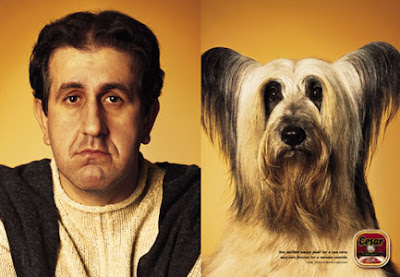 perro