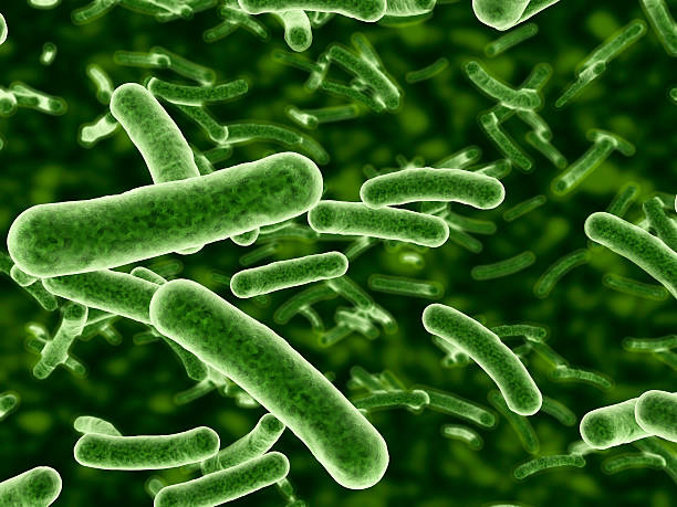 Bacteria engineered to eat carbon dioxide :Turn bacteria into biological factories for energy and even food.