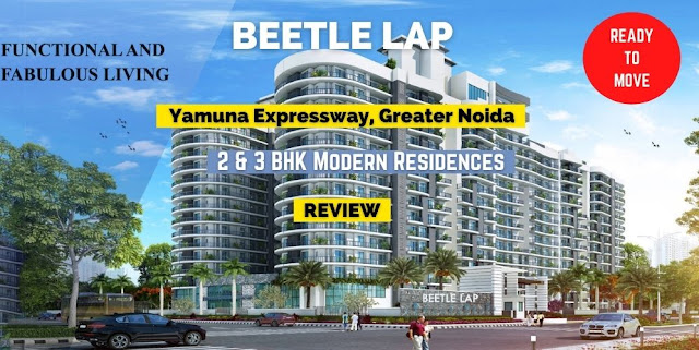 Home and Soul Beetle Lap Greater Noida