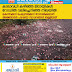 കാലാവധി കഴിഞ്ഞ മിഠായികൾ റോഡിൽ വലിച്ചെറിഞ്ഞ നിലയിൽ  കൊന്നക്കാട് ചെരുമ്പക്കോട് റോഡരികിലാണ് അജ്ഞാതർ പഴകിയ സാധനങ്ങൾ തള്ളിയത്