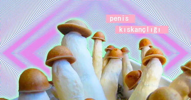 penis kıskançlığı