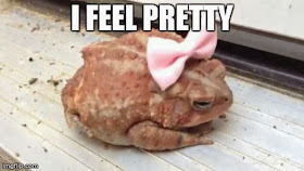 30 Funny animal captions - part 18 (30 pics), frog with bow tie, i feel pretty