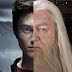 Could Harry Potter be a Horcrux of Dumbledore too? (My Harry Potter's Conspiracy Theory)