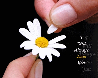 Sad Love Quotes With White Flower HD Wallpaper