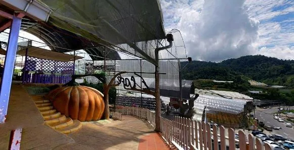 Gambar menarik di Lavender Garden set tangkap gambar puncak